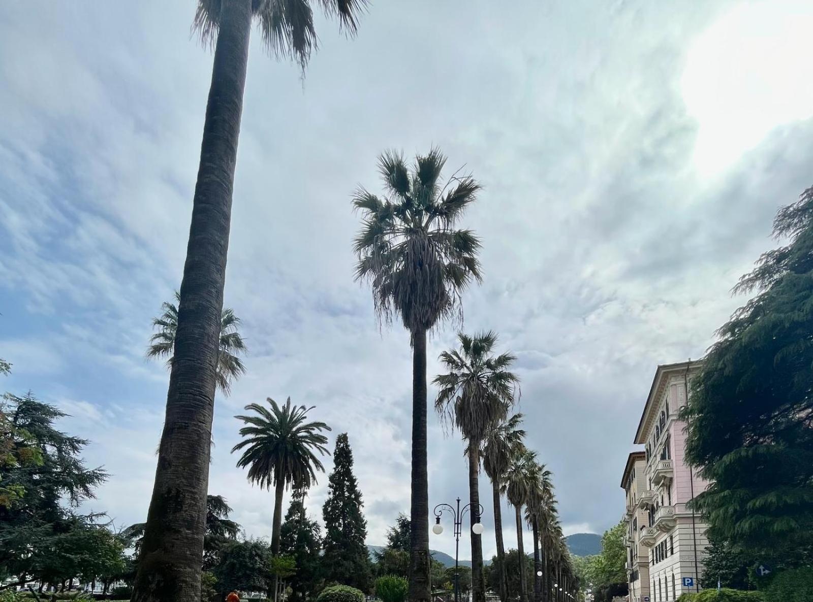Breathe Liguria - Lucy 1 Bedroom And 1 In A Newly Renovated Nineteenth-century Building In The Historic Center Near The Sea Гостевой дом Специя